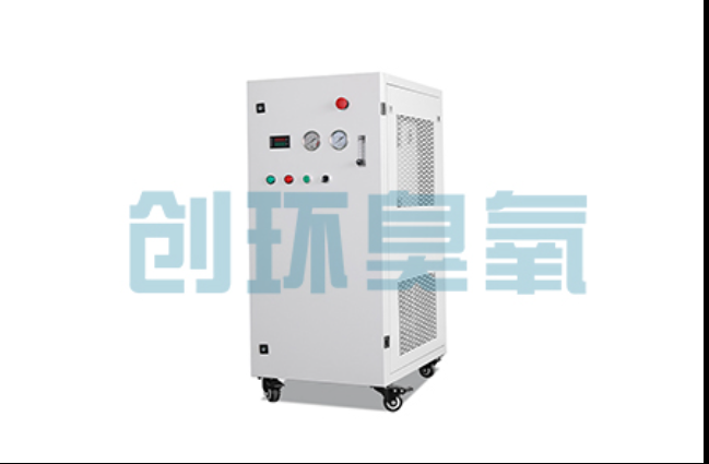 宁德工厂化养鲈必看:2026年臭氧发生器替代传统消毒的最新方案