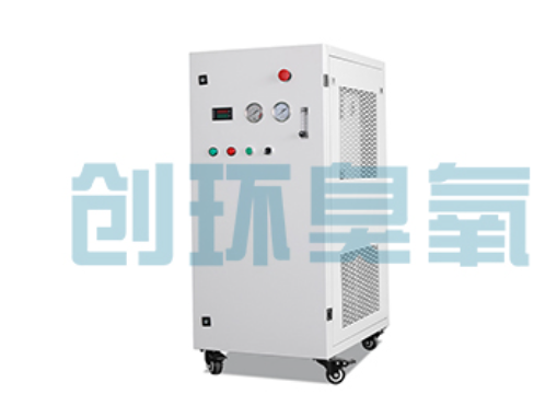 宁德石斑鱼养殖水质调控完整指南:臭氧发生器配置与操作步骤