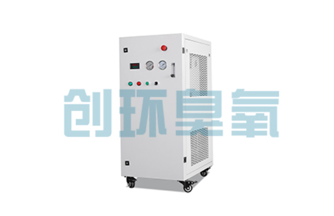 宁德比传统换水更高效?臭氧发生器在石斑鱼养殖中的水质净化原理解析